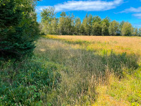 75 acre property for sale.