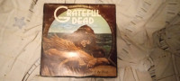 The first grateful dead album record vinyl