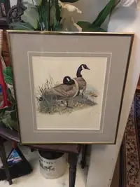 Nesting  geese  coloured print