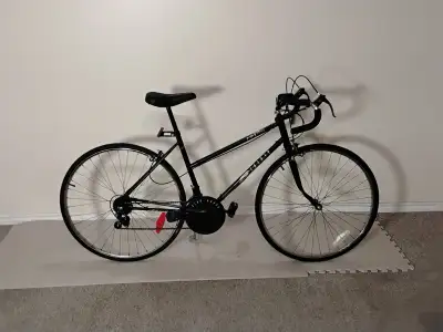 242 ads for vintage road bike in Bikes in Ontario | Kijiji