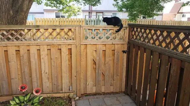 FENCE BUILD & REPAIR - FENCE EXPERTS628643596372491223