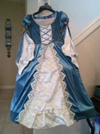 Medieval Children's Dress (costume)