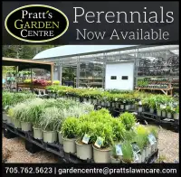 Pratt's Garden Centre In Bala