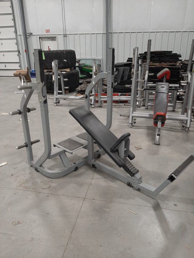 Commercial Gym Equipment  in Exercise Equipment in Ottawa - Image 2