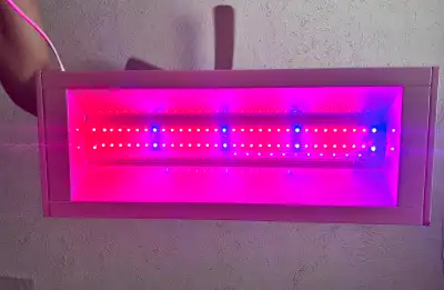I'm offering a 19W LED grow light, perfect for starting seedlings or supplementing indoor plants wit...