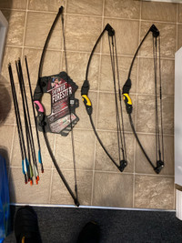Bow and Arrow Sets
