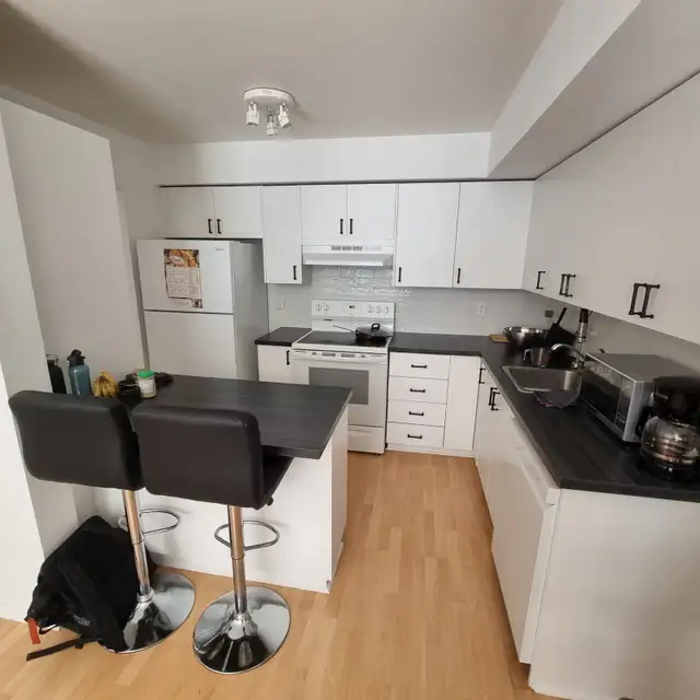 Charming condo in Ahuntsic near Claude Robillard Centre63860084981763122