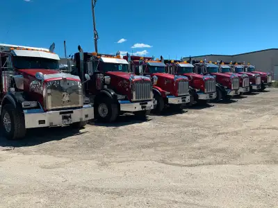 Hiring tri-axle dump truck driver, View more