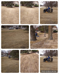 Lawn care , Power raking , Aeration & Spring clean up
