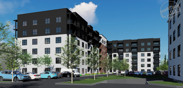 165 McLaughlin - NOW RENTING near Hospitals and University in Long Term Rentals in Moncton - Image 2