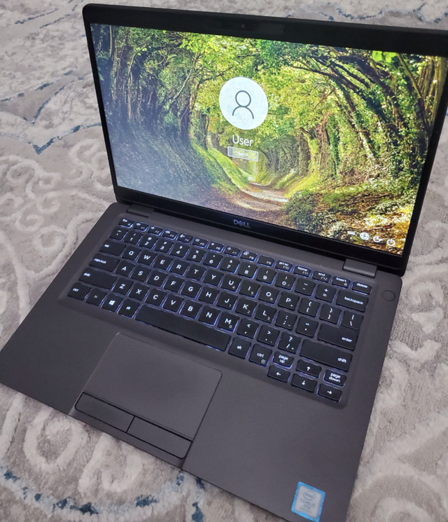 Dell Latitude 5300 Laptop - 13.3