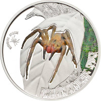 2013 Cook Islands: Venomous Spiders: Brazilian Wandering Spider