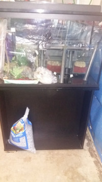 Aquarium Fish 26,3 Gallons+Accessories+5 African Cichlids of 3"