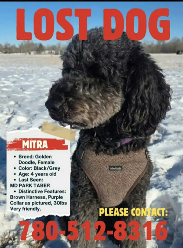 HELP SEARCH432921132758487040