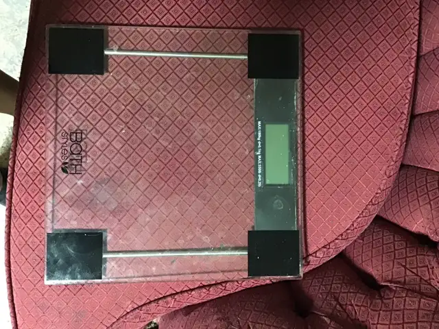 weight scale 64418619033217120