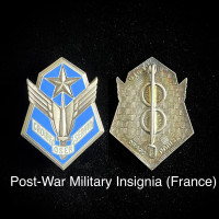 101st Aviation Group Badge - France (Shipping Available)
