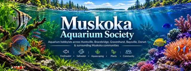 Muskoka Aquarium Society