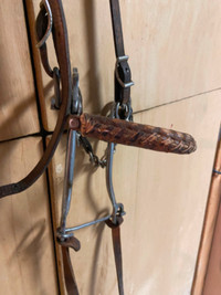 Horse  Hackamore and/or Reins
