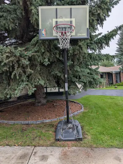 Free Height Adjustable Basketball Hoop, View more