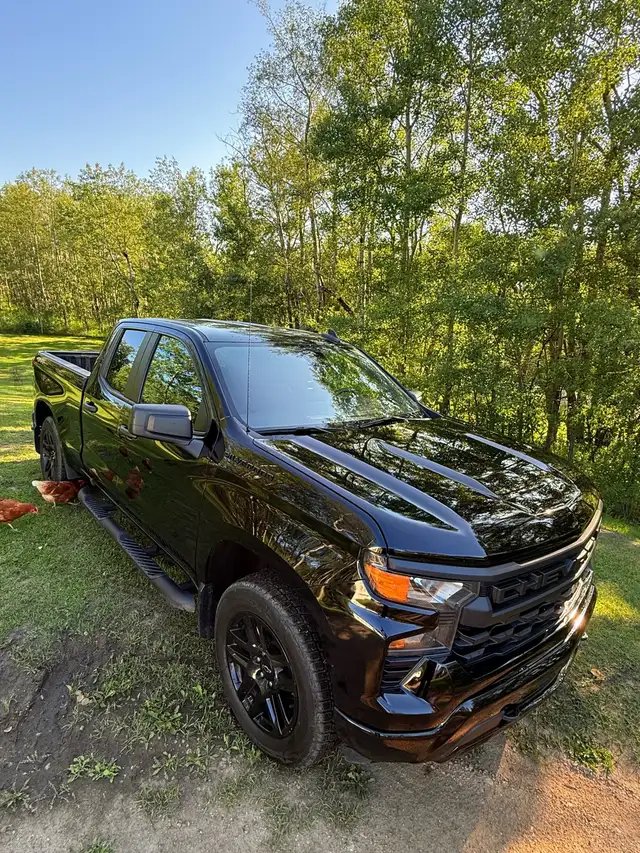 Chevrolet 1500523046107858216965
