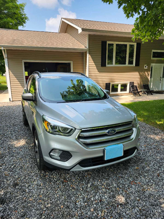 Ford Escape in Cars & Trucks in Muskoka - Image 3