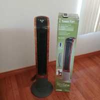 Fan with air purifier 