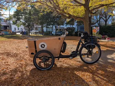 Electric Cargo Bike – Bosch Performance Line CX – Heavy-Duty Hau, View more
