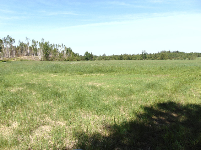 Terre  Agricole a Louer (Pas a vendre) dans Terrains à vendre  à Lac-Saint-Jean - Image 4