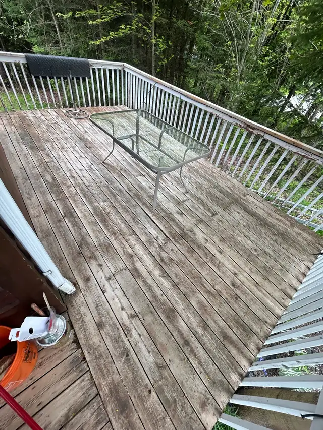 Interior & Exterior Painter489527871905484805