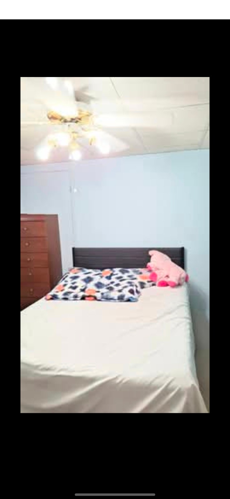 Apartment for rent 3 1/2, Logement à louer 3 1/2. Tout inclus. — photo 1