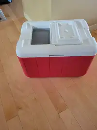 Cooler for camping