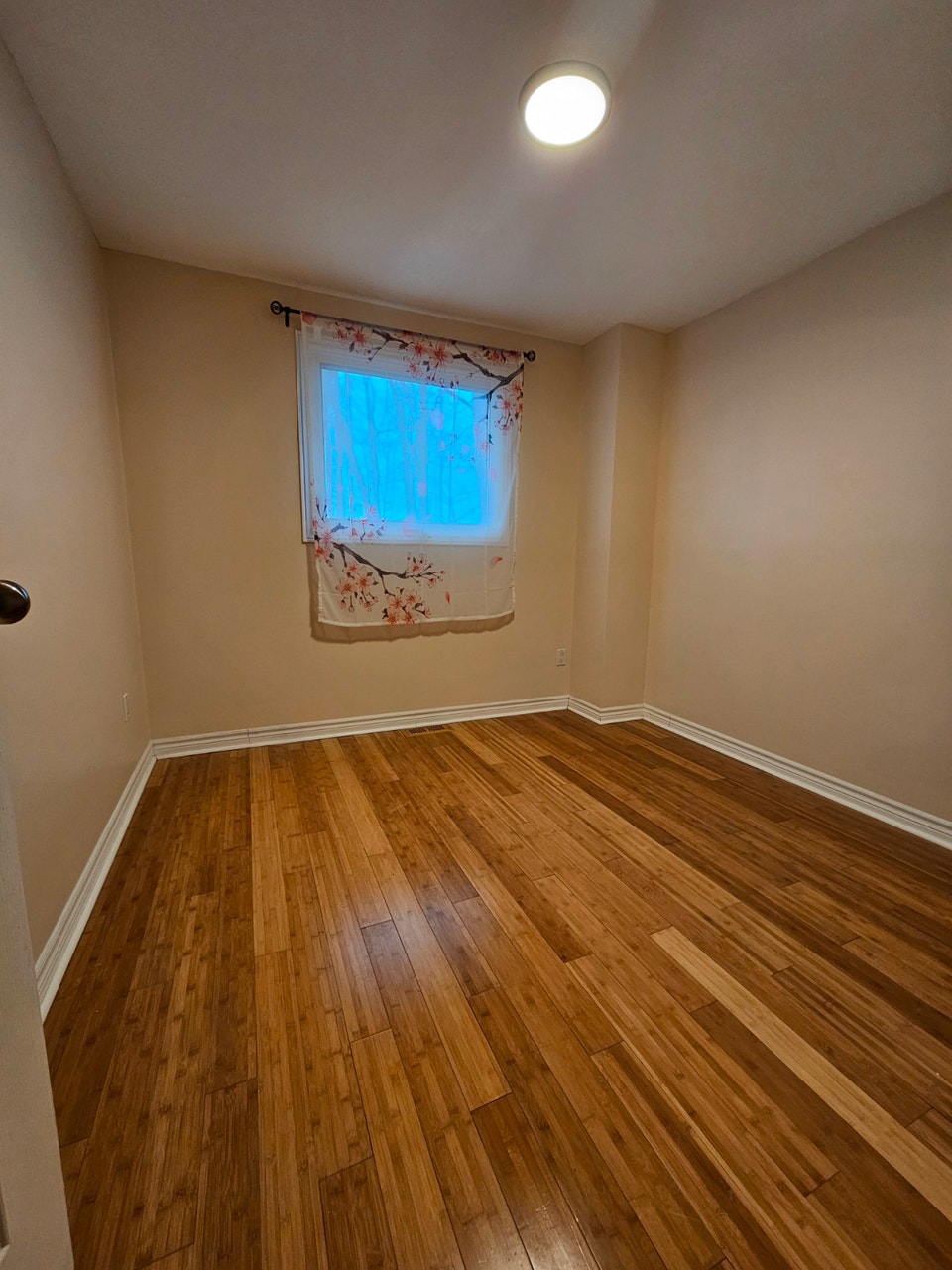 Beautiful 3-Bedroom Upper Unit 4