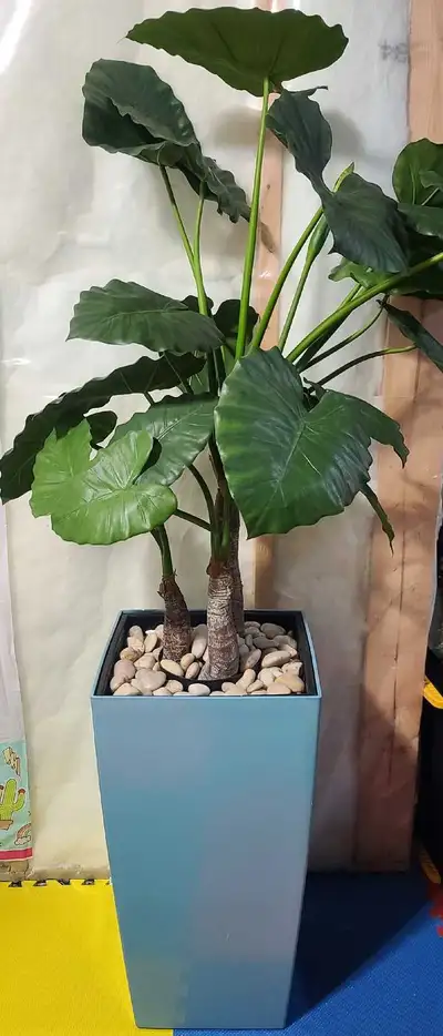 Fake plant and tall pot, View more