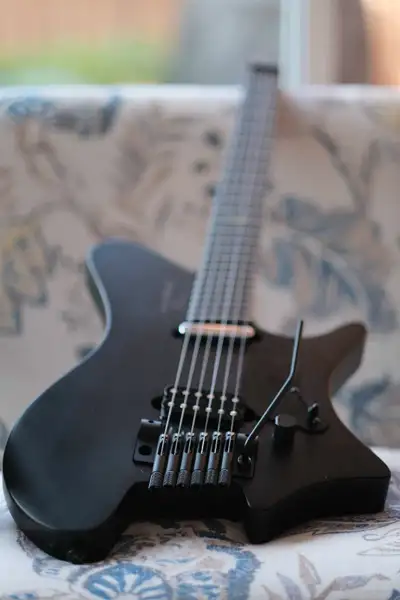 Strandberg Salen NX Plini model from 2023 for sale or trade. This instrument comes with its original...