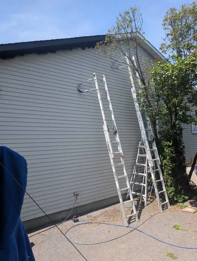 Professional Painter502201370427402244