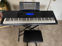 CASIO WK- 245 Keyboard