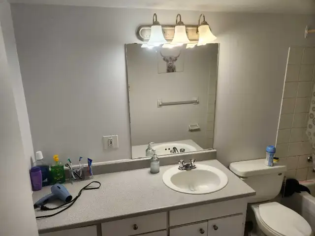 chambre à louer / recherche colocs