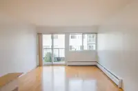 Large, bright, cat friendly 1 bedroom apartment