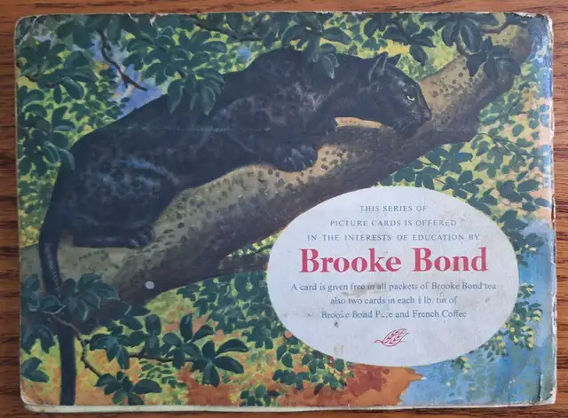 1962 Brooke Bond 50 Teacard Set in Album " African Wildlife" in Arts & Collectibles in Petawawa - Image 3