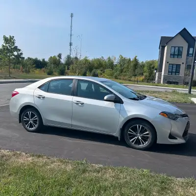 2019 Toyota Corolla LE Upgrade - Great car, drives smooth, no issues whatsoever - Purchased from Toy...