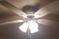 ceiling fan light with white wooden blades