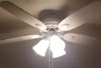 ceiling fan light with white wooden blades