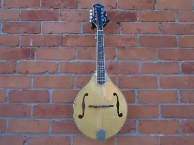 Brand new Bourgeois M5-A and M5-T mandolins. B stock instrument that seems to be in a mint condition...