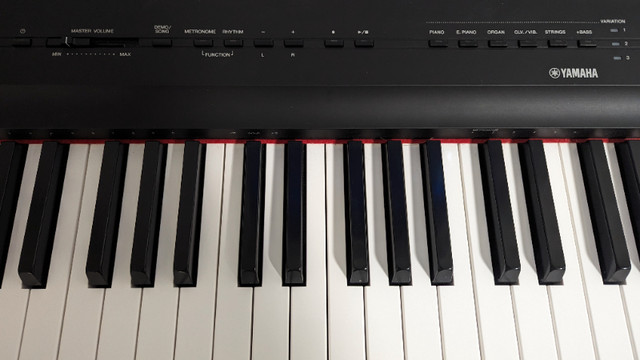 Yamaha Digital Piano in Pianos & Keyboards in St. John's - Image 4