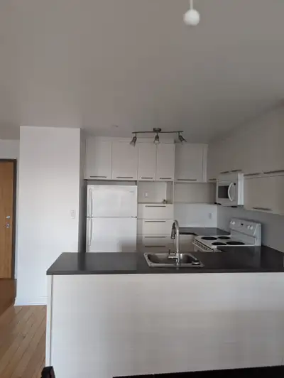 appartement 4 1/2