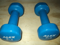 SET OF 5LB DUMB BELLS (ALEX BRAND - GREAT SHAPE!!) Calls only