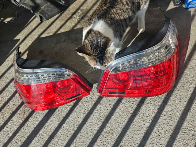 BMW E60 5 SERIES TAILLIGHTS  in Auto Body Parts in Calgary