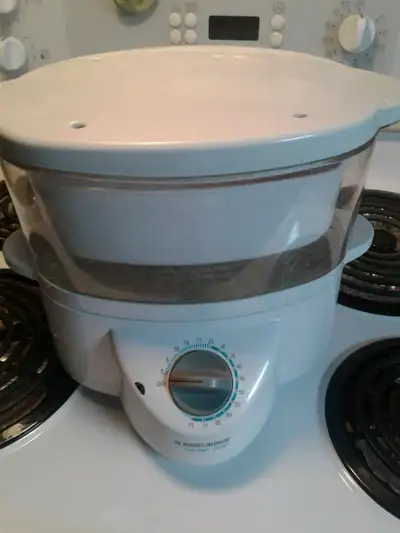 15$ BLACK + DECKER Flavor Scente Steamer avec filtre et extra 9$ car Vacuum/ Aspirateur d'auto 2$ Cr...