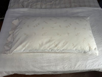 Beautyrest Platinum body pillow