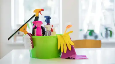 Cleaning service, View more